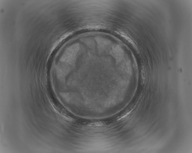 X0000071800492200607211650