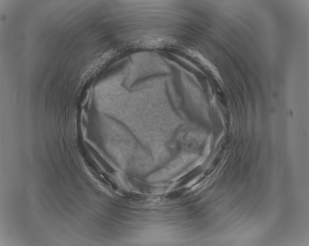 X0000071800493200607211650