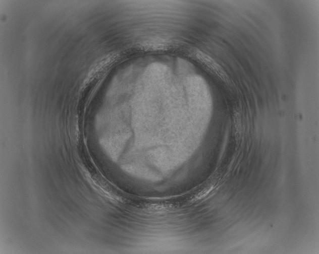 X0000071800494200607211650