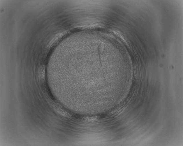 X0000071800495200607211650