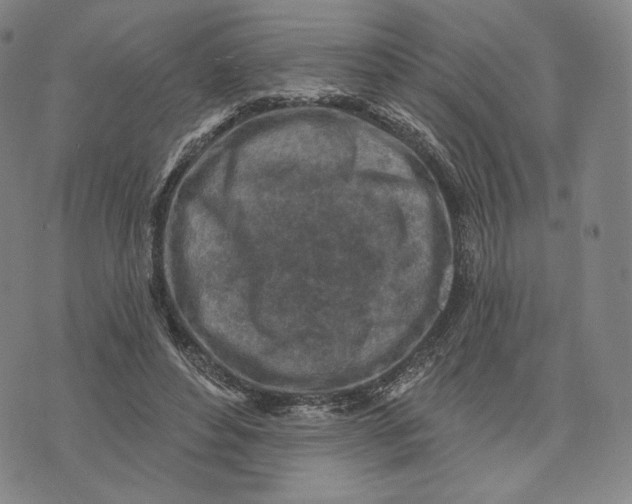 X0000071800496200607211650