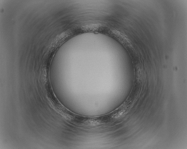 X0000071800498200607211650