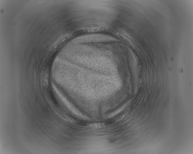 X0000071800499200607211650