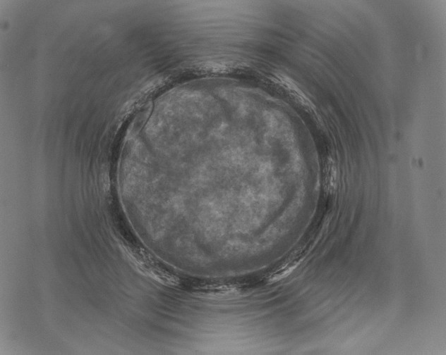 X0000071800500200607211650