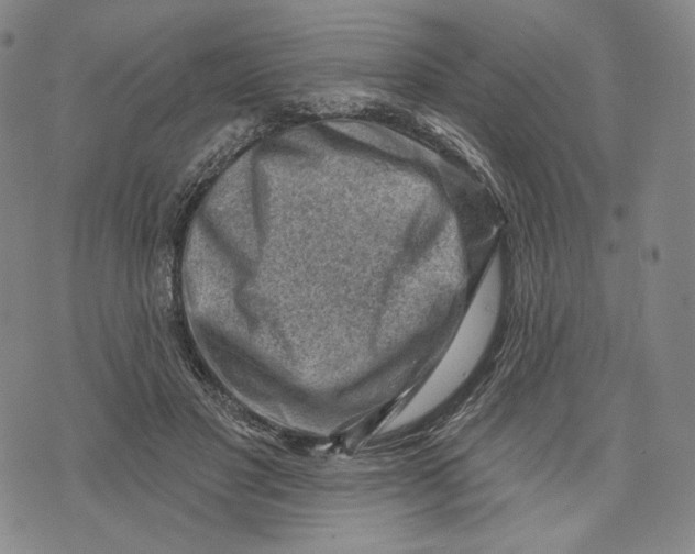 X0000071800501200607211650