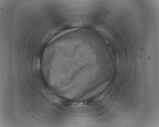 X0000071800502200607211650