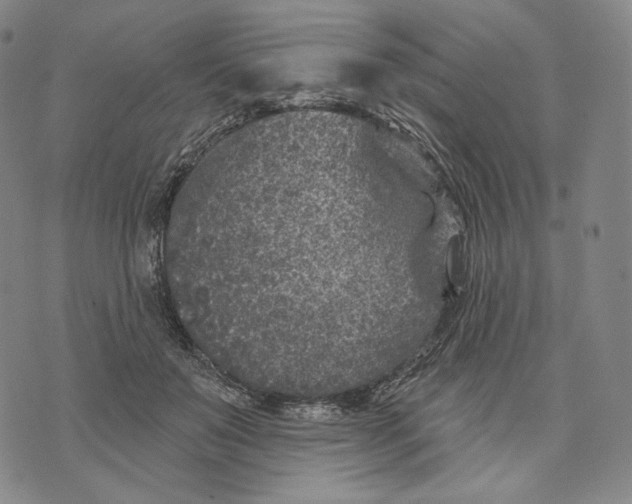 X0000071800503200607211650