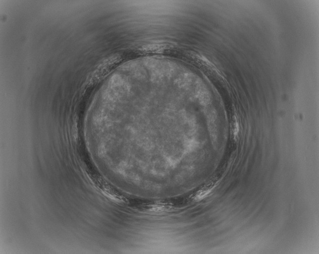 X0000071800504200607211650