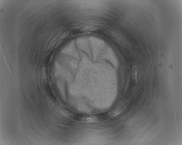 X0000071800506200607211650