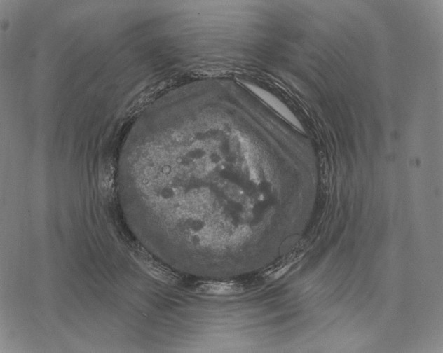 X0000071800507200607211650