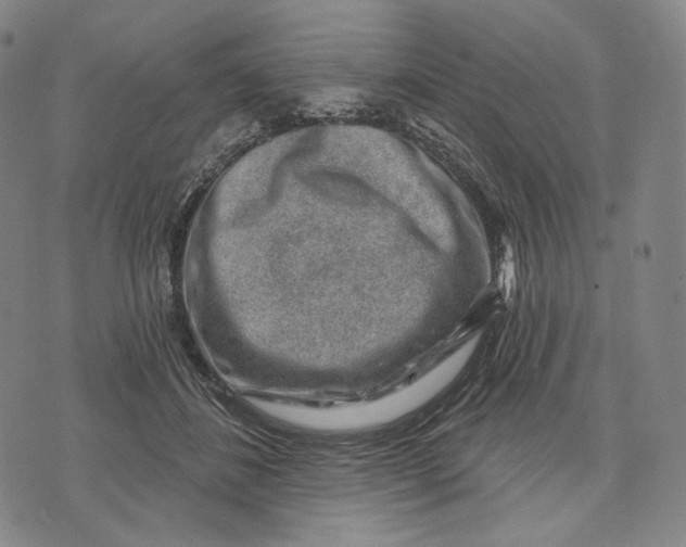 X0000071800508200607211650