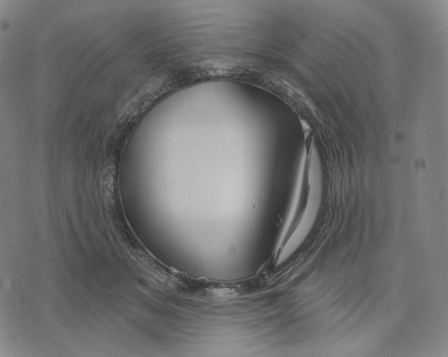 X0000071800509200607211650