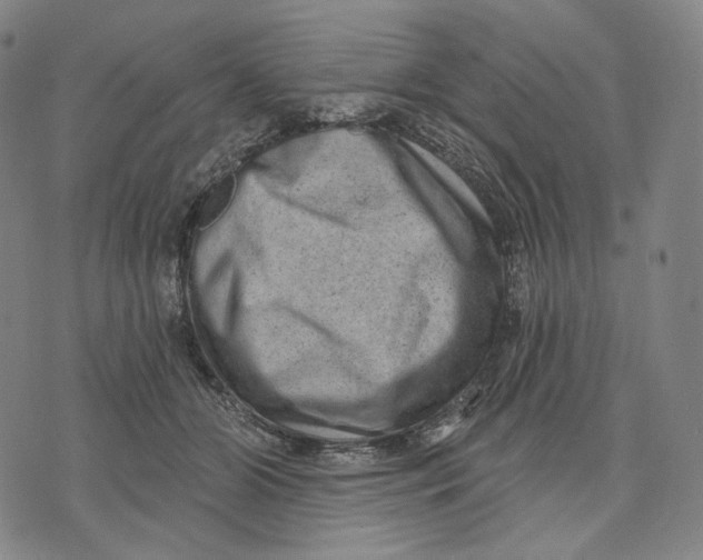 X0000071800510200607211650