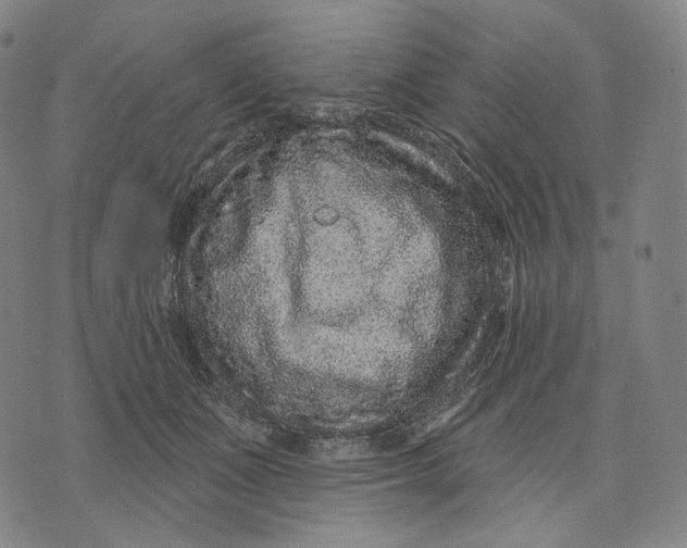 X0000071800511200607211650