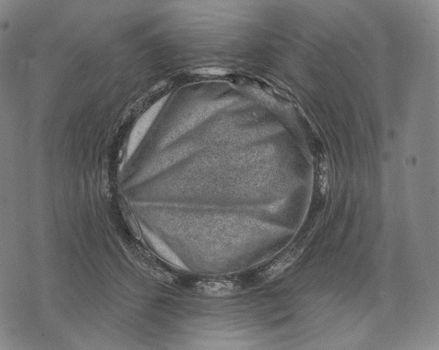 X0000071800512200607211650