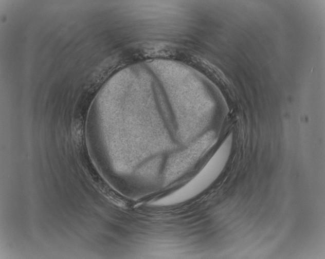 X0000071800513200607211650