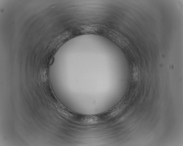 X0000071800514200607211650