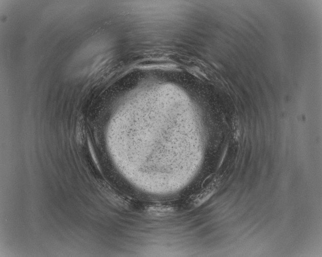 X0000071800515200607211650