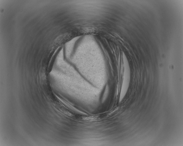 X0000071800516200607211650