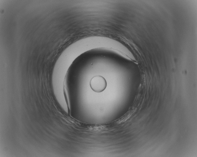 X0000071800517200607211650