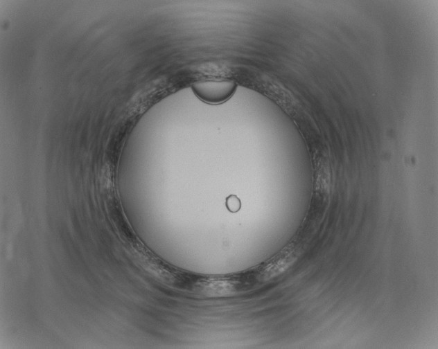 X0000071800518200607211650