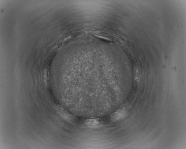 X0000071800519200607211650