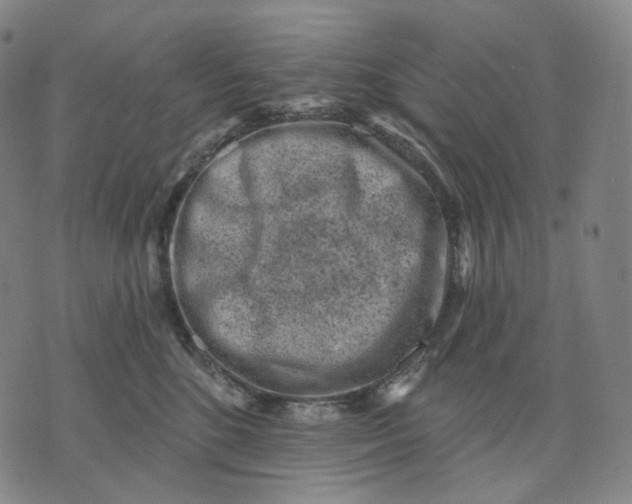 X0000071800520200607211650