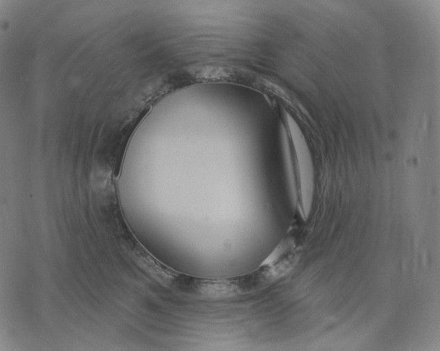 X0000071800521200607211650