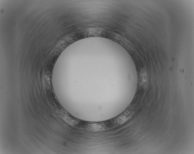 X0000071800522200607211650