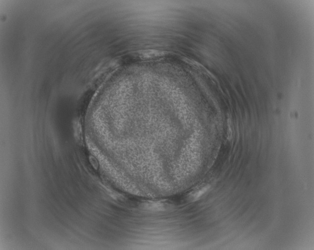 X0000071800523200607211650