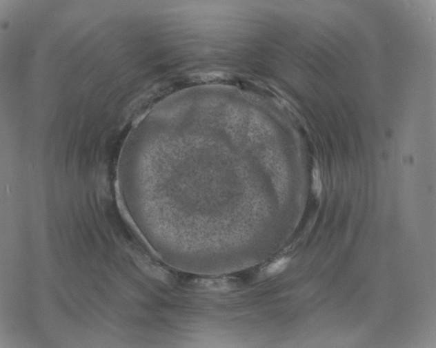 X0000071800524200607211650