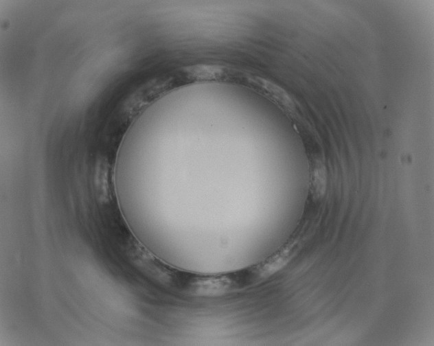 X0000071800525200607211650