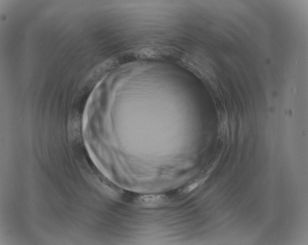 X0000071800526200607211650