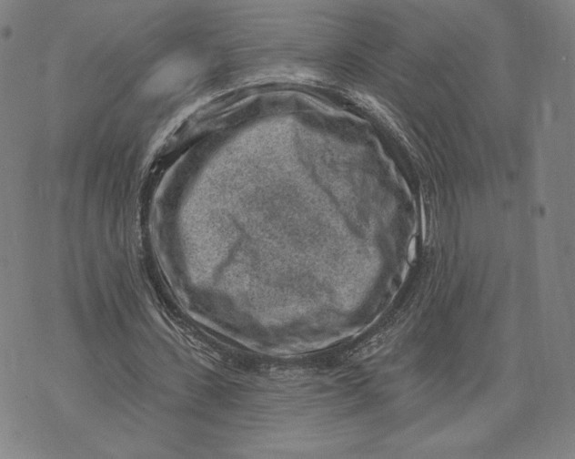 X0000071800531200607211649