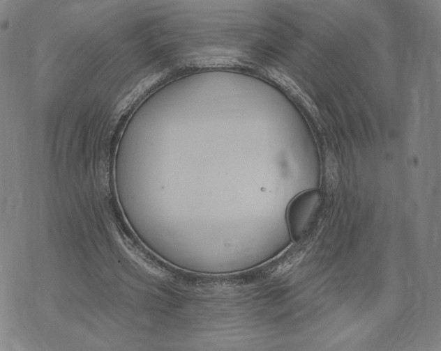 X0000071800533200607211649