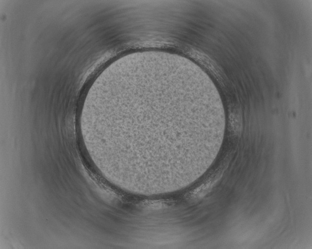 X0000071800534200607211649