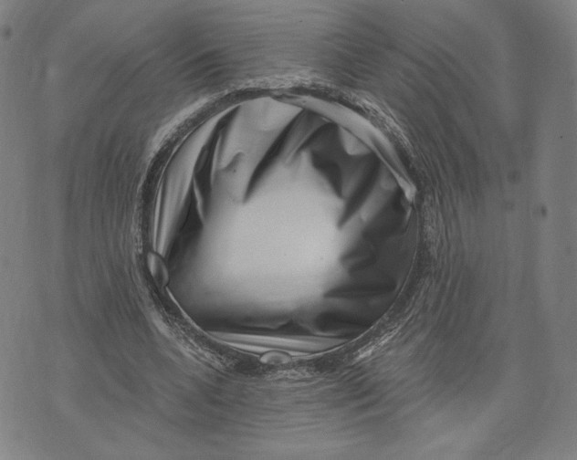 X0000071800536200607211649