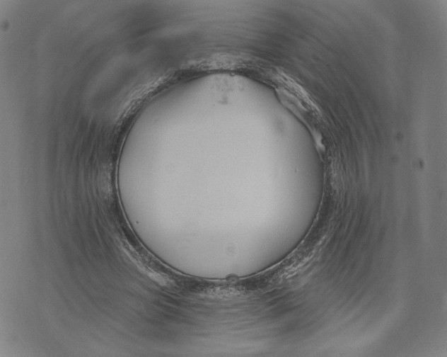 X0000071800537200607211649