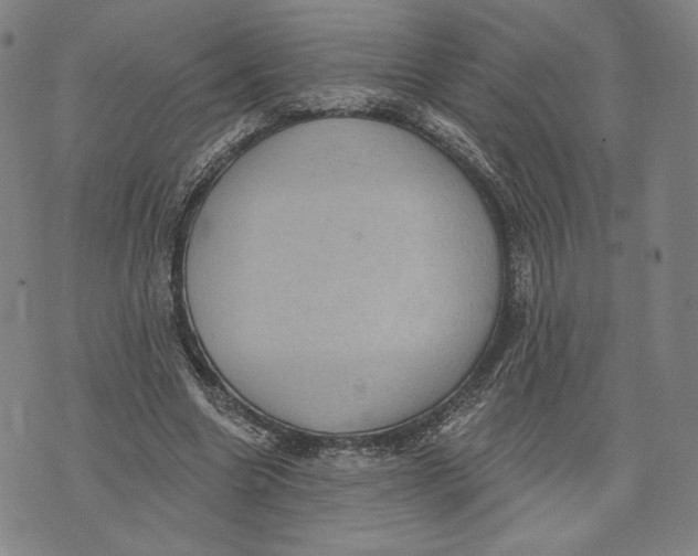 X0000071800538200607211649