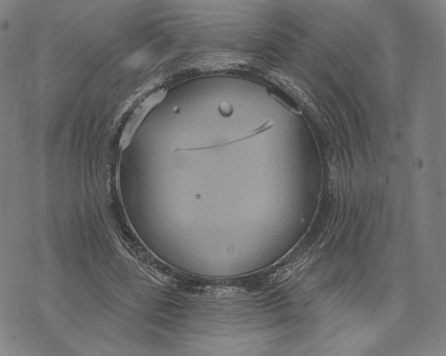 X0000071800539200607211649