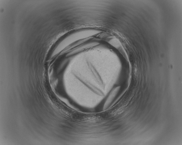 X0000071800540200607211649