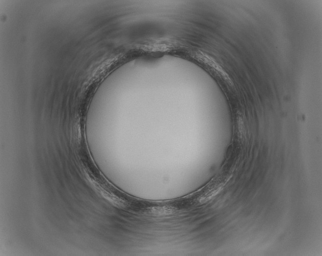 X0000071800541200607211649