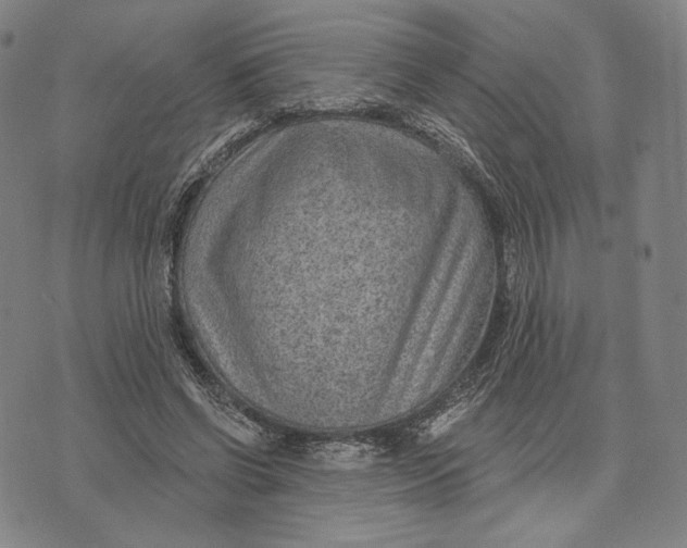 X0000071800542200607211649