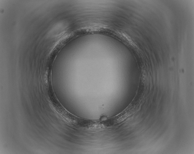 X0000071800543200607211649