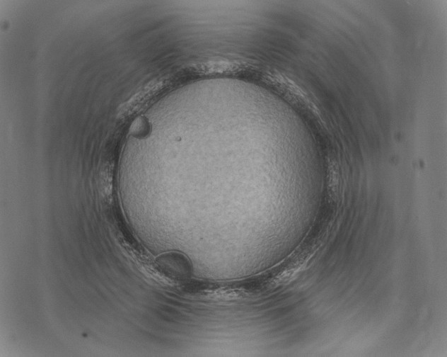 X0000071800545200607211649