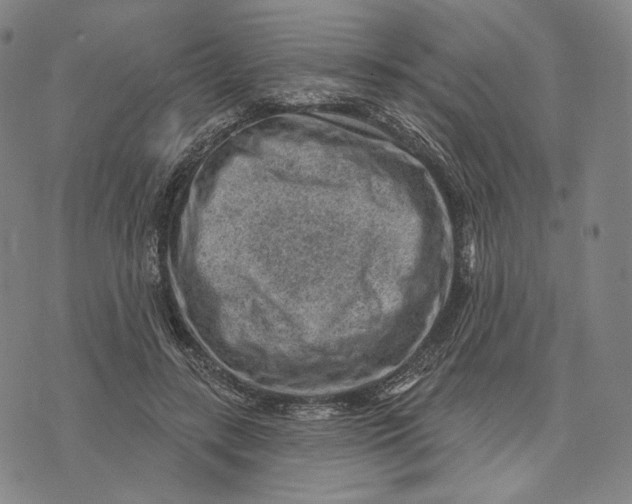 X0000071800547200607211649