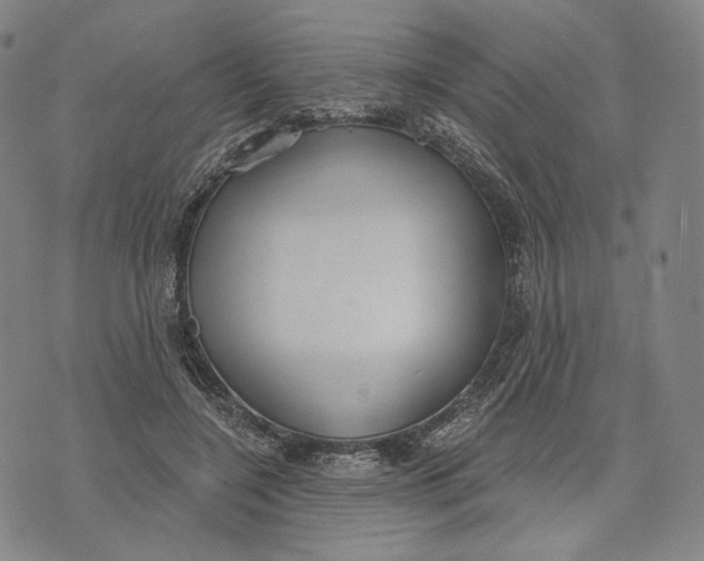 X0000071800548200607211649