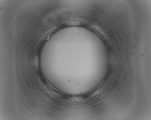 X0000071800549200607211649