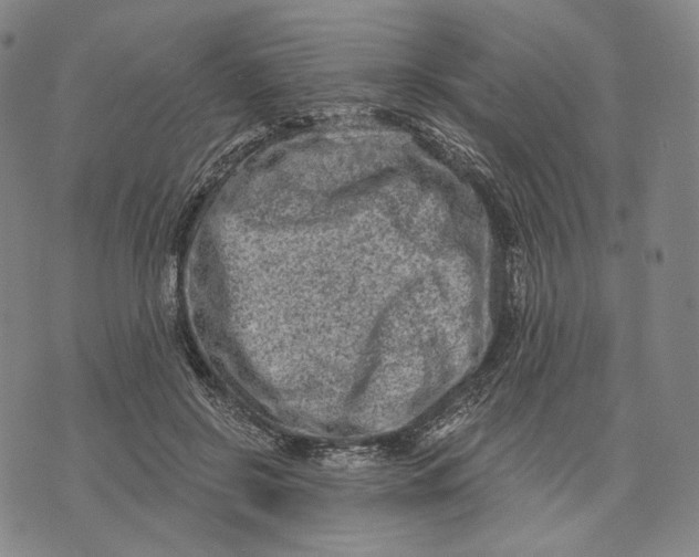 X0000071800550200607211649