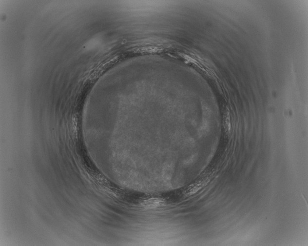 X0000071800551200607211649